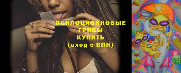 2c-b Беломорск
