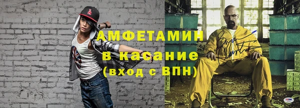амф Гусь-Хрустальный