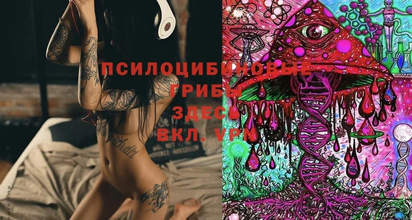 spice Гусев